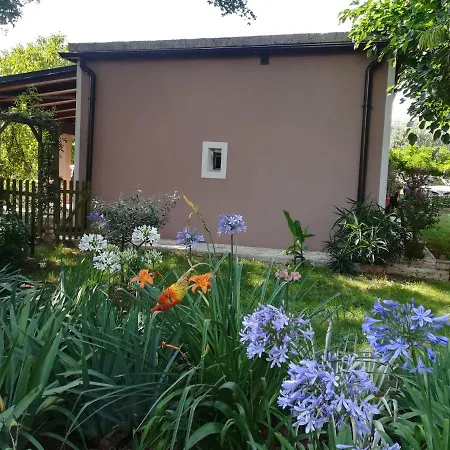 Apartman 